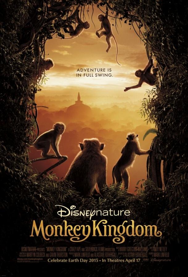 Постер к Королевство обезьян (2015)